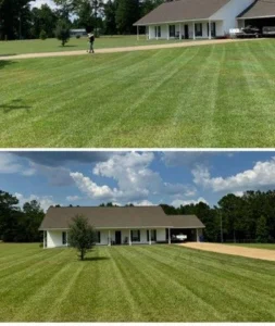 lawn-transformation-im (10)