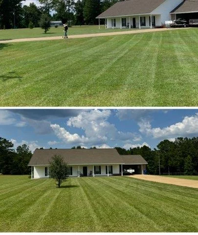 lawn-transformation-im (10)