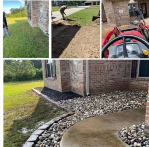 lawn-transformation-im (3)