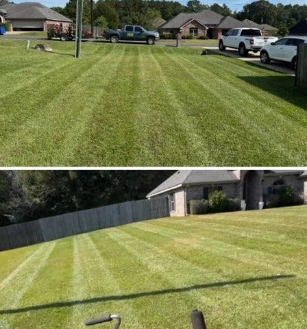 lawn-transformation-im (4)