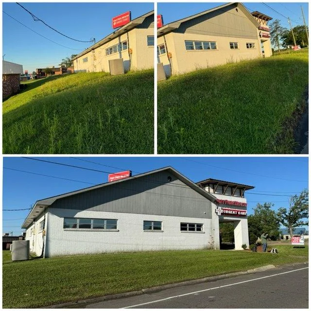 lawn-transformation-im (5)