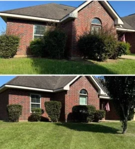 lawn-transformation-im (6)