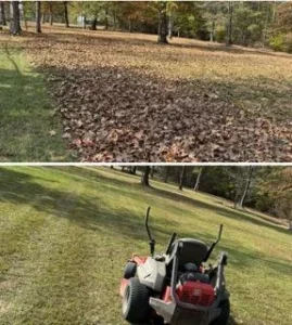 lawn-transformation-im (7)
