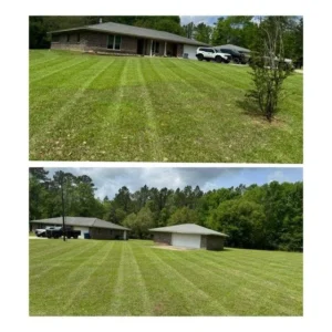 lawn-transformation-im (9)