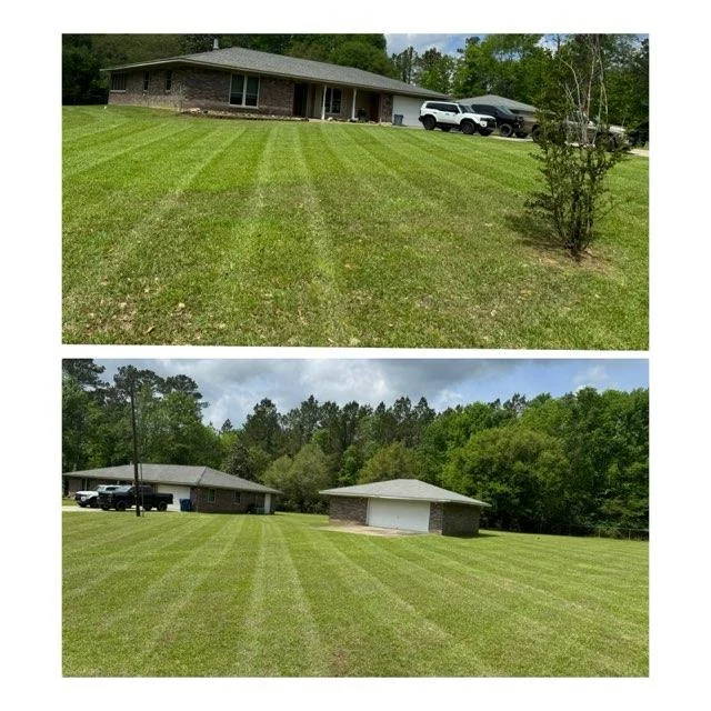lawn-transformation-im (9)