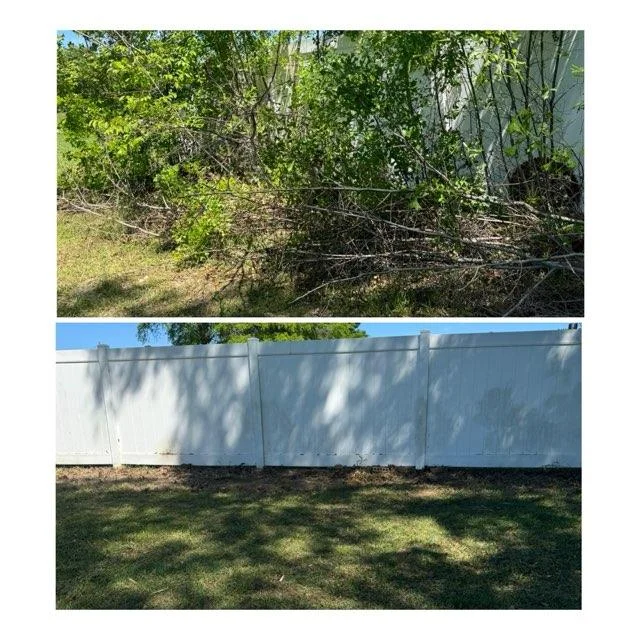 lawn-transformation-img- (1)